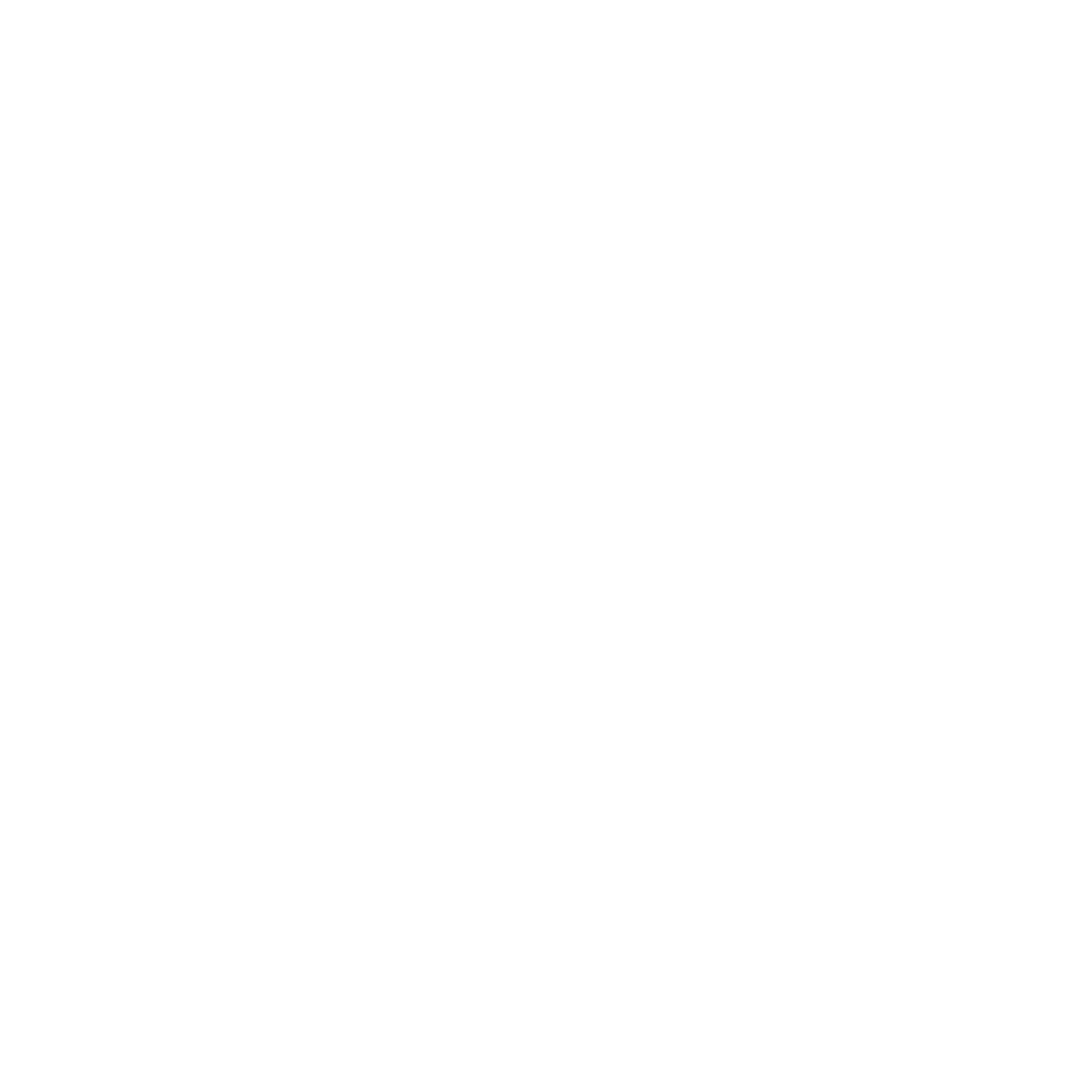 INSLMN Logo